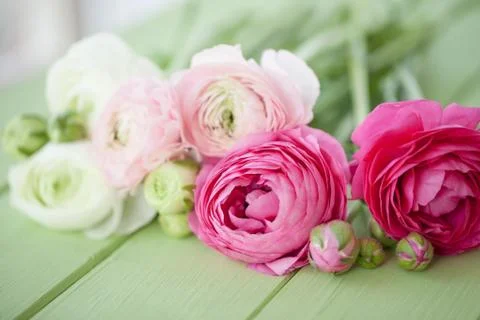 Fresh flowers on rustic background Stock Photos