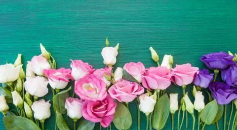 Fresh flowers on rustic background Stock Photos