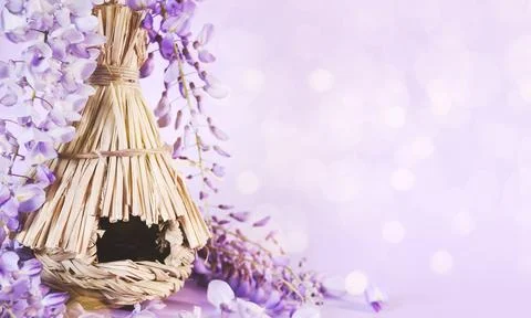 Fresh flowers. Spring background. Stock Photos