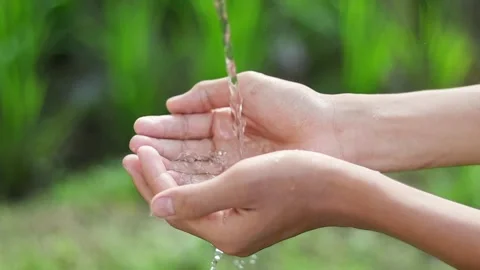 Fresh flowing water collected in cupped hands outdoors Видео 339760479