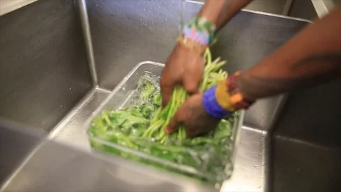 Fresh Food Stock Footage Stock Footage