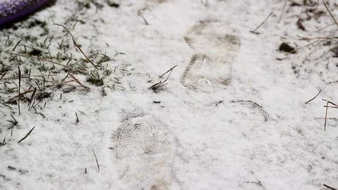 Fresh Footprints In The Snow Stock Footage 81340683