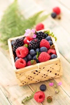 Fresh forest berries. Stock Photos
