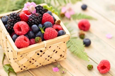 Fresh forest berries. Stock Photos