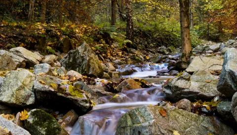 Fresh forest stream Stock Photos