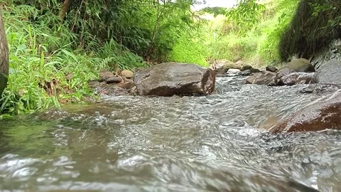 Fresh Forest Stream Water Flowing Over Natural Rocks Stock Footage 329757498