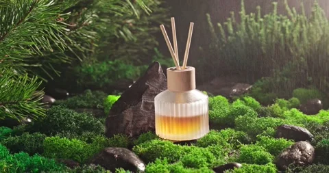 Fresh fragrance diffuser as the scent of damp forest. Stock Footage 336494301