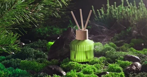 Fresh fragrance diffuser as the scent of damp forest. Stock Footage 337822614