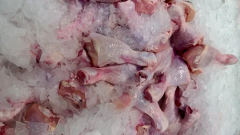 Fresh fresh chicken covered with ice 4k video Stock Footage 340408036