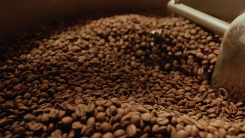 Fresh fried coffee beans mixing around on a cooling plate of an oven. Coffee Stock Footage 269447563