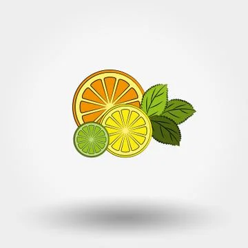 Fresh fruit and mint. Stock Illustration