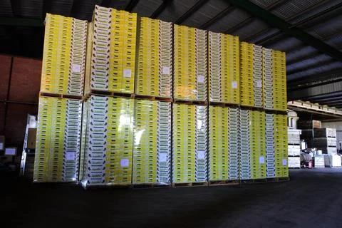 Fresh fruit and vegetable packaging warehouse Stock Photos