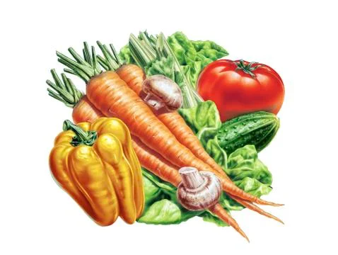Fresh fruit and vegetables, artwork Stock Illustration