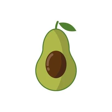 Fresh fruit avocado. Realistic vector avocados illustration Illustrazione stock