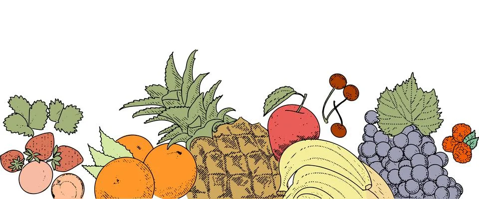 Fresh fruit border Stock Illustration