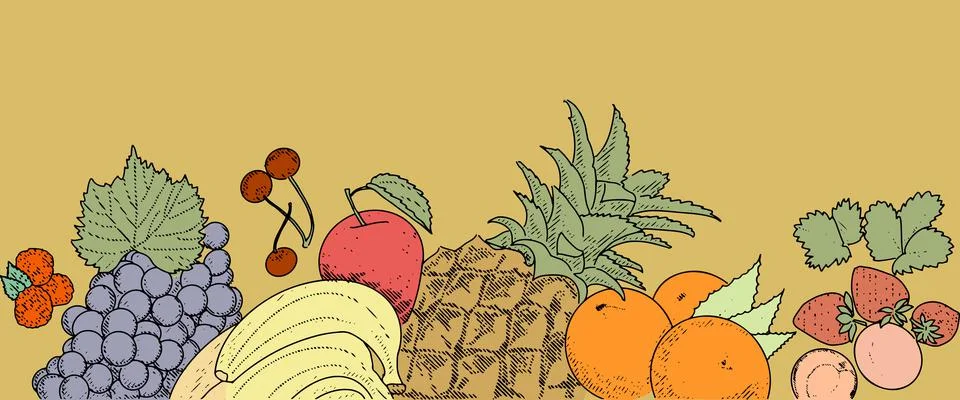 Fresh fruit border Stock Illustration
