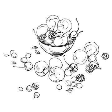 Fresh fruit in a bowl, vector Stock Illustration