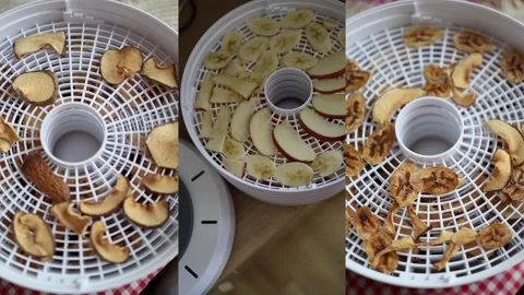 Fresh fruit compared with dried fruit after dehydration Stock Footage 340136164