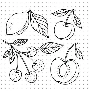 Fresh fruit contour drawing vector set featuring cherry cluster lemon slice and Stock Illustration