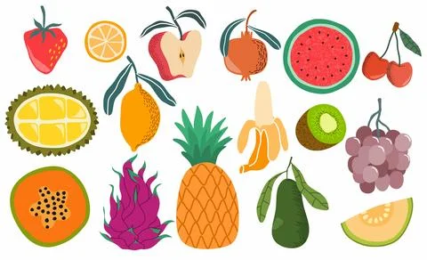 Fresh fruit doodle vector set. イラスト素材