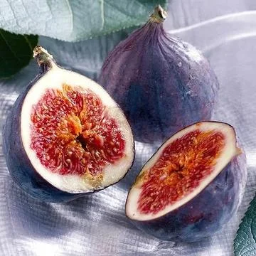Fresh fruit figs Stock Photos