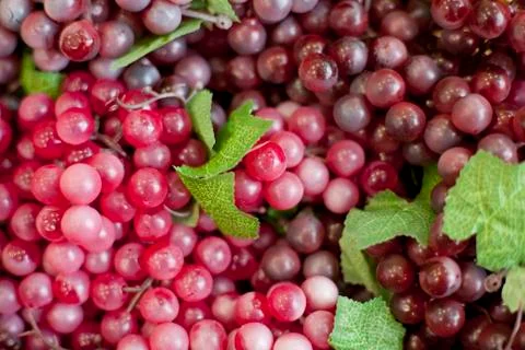 Fresh fruit, grapes. Foto stock