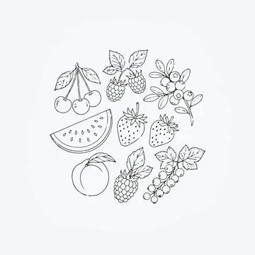 Fresh Fruit Illustrations, Line Drawing, Black and White Silhouette Stock Illustration