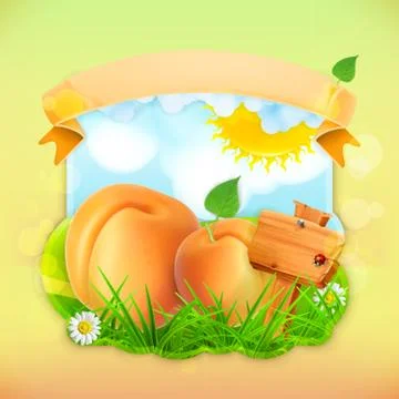 Fresh fruit label apricot, vector illustration background for making design o Stock Illustration