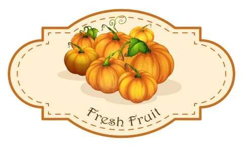 A fresh fruit label with squash Illustrazione stock