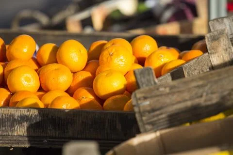 Fresh fruit Stock Photos