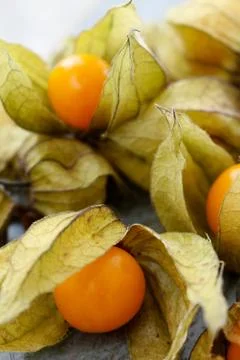 Fresh fruit physalis Stock Photos