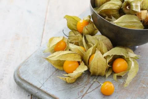 Fresh fruit physalis Foto stock