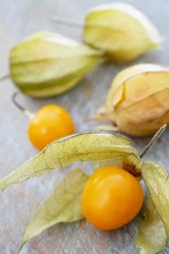 Fresh fruit physalis Stock Photos