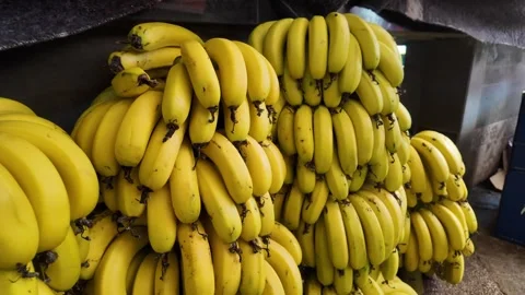 Fresh Fruit at Souk El Had in Agadir, Morocco : 30-07-2024 Stock Footage 280827414