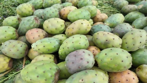 Fresh Fruit at Souk El Had in Agadir, Morocco : 30-07-2024 Video stock 280992704