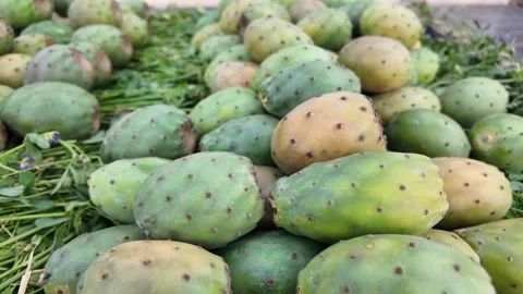 Fresh Fruit at Souk El Had in Agadir, Morocco : 30-07-2024 스톡 동영상 280992724