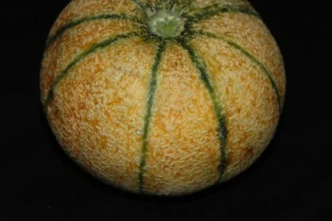 Fresh fruit used in nature Stock Photos