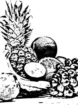 Fresh fruits Sketch vector Stock Illustration