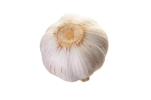 Fresh garlic from back side , isolated on white background Stock Photos