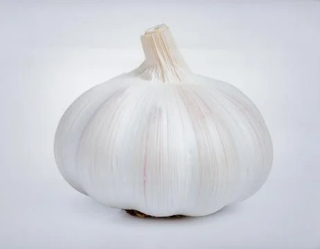 Fresh Garlic Bulb Isolated on White Background, White Aromatic Allium Veget.. Stock Photos