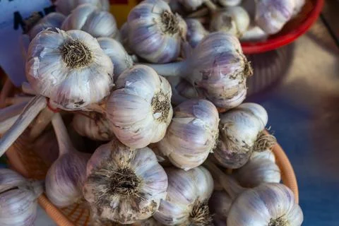 Fresh garlic bulbs in rustic baskets at local market. Organic garlic harves.. Stock Photos