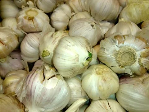 Fresh garlic in a close-up box Stock Photos