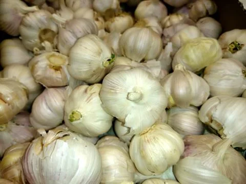 Fresh garlic in a close-up box Stock Photos