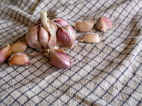 Fresh garlic cloves on rustic kitchen cloth Stock Photos