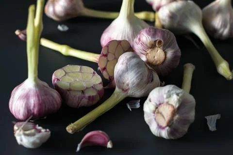 Fresh garlic. Garlic on a black background. Ingredients for cooking delicious Stock Photos