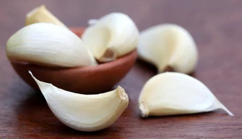Fresh garlic Stock Photos