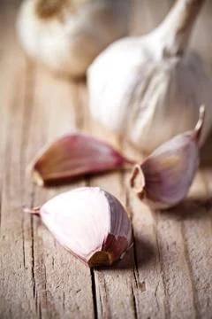 Fresh garlic Stock-Fotos