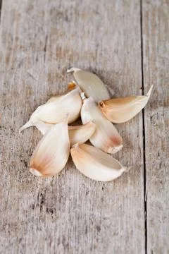 Fresh garlic Stock-Fotos