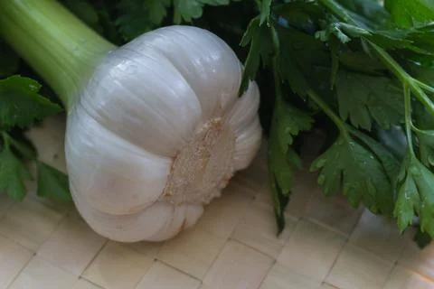 Fresh garlic Stock Photos