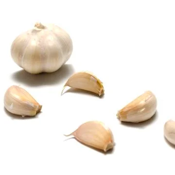 Fresh garlic Stock Photos